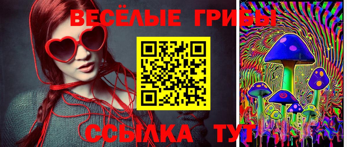 Псилоцибиновые грибы Magic Shrooms  Вход с VPN  Пенза  Галлюциногенные грибы Psilocybe 